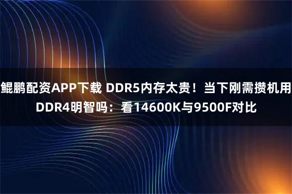 鲲鹏配资APP下载 DDR5内存太贵！当下刚需攒机用DDR4明智吗：看14600K与9500F对比