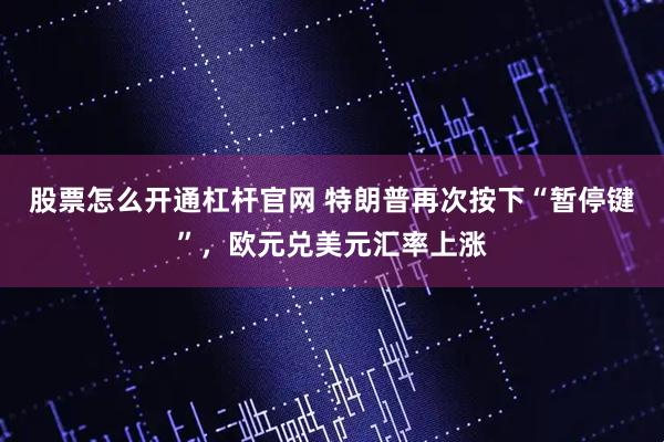 股票怎么开通杠杆官网 特朗普再次按下“暂停键”，欧元兑美元汇率上涨
