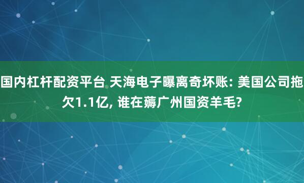 国内杠杆配资平台 天海电子曝离奇坏账: 美国公司拖欠1.1亿, 谁在薅广州国资羊毛?